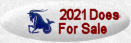 2021 Does For Sale