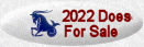 2022 Does For Sale