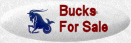 2016 Bucks For Sale
