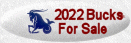 2022 Bucks ForSale